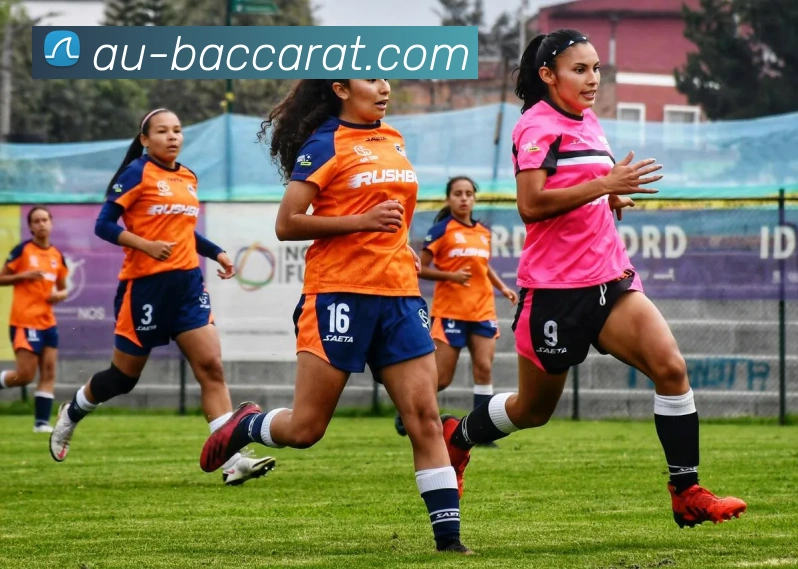 百家乐官网发展历程